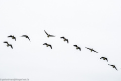 2023-01-20_14-46-36-7