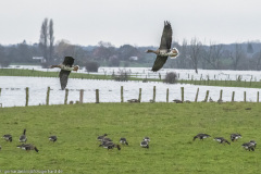 2023-01-20_14-48-49-9