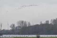 2023-01-20_14-59-17-11