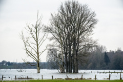 2023-01-20_15-10-16-12