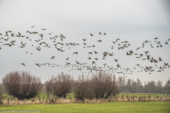 2023-01-20_15-12-58-13