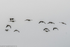 2023-01-20_15-13-07-14