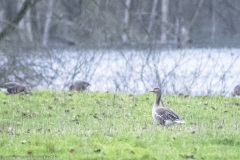 2023-01-20_15-27-28-18