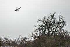 2023-01-20_15-32-34-19