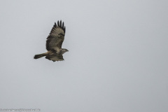 2023-01-20_15-32-49-21