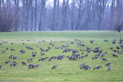 2023-01-20_15-33-10-22