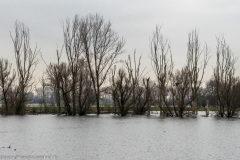 2023-01-20_15-34-01-23