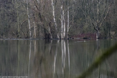 2023-01-20_16-01-08-25