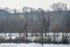 2023-01-20_16-19-12-26