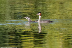 2023-09-05_17-04-43-9