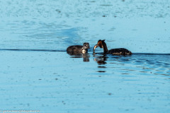 2023-09-05_17-06-24-10