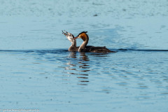 2023-09-05_17-06-26-11