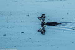 2023-09-05_17-25-22-13