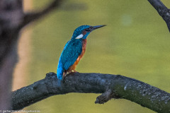 2023-09-05_17-27-08-14