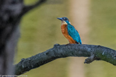 2023-09-05_17-29-23-15