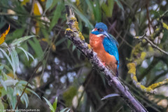 2023-09-07_07-04-07-1