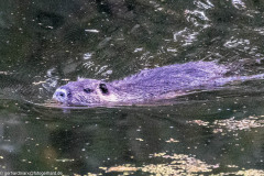 2023-09-07_07-13-00-2