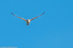 2023-09-07_07-53-06-3