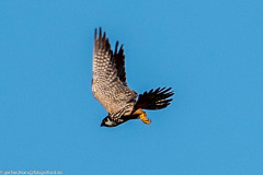 2023-09-07_09-06-05-4