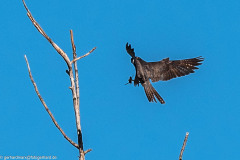 2023-09-07_09-07-44-6