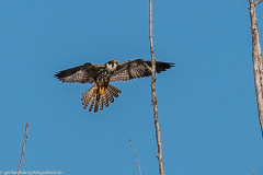 2023-09-07_09-13-14-8