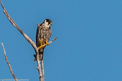 2023-09-07_09-15-12-9