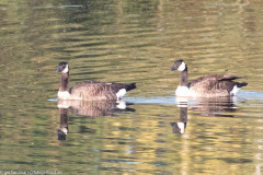 2023-09-08_07-29-34-2