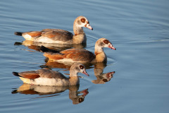 2023-09-08_07-40-35-3