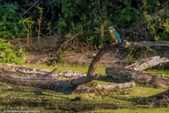 2023-09-08_08-31-48-6