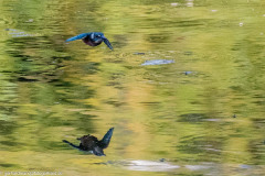 2023-09-08_08-32-00-7