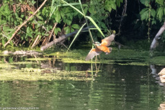 2023-09-08_08-48-06-9