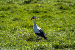 2023-09-08_14-45-46-10