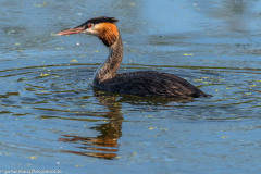 2023-09-08_16-12-26-12