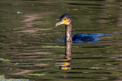 2023-09-08_16-23-27-14