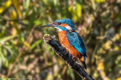 2023_09_07-09_27_50_1