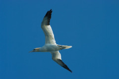 1_2011_09_29-16_53_32