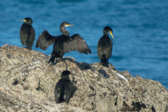 1_2011_09_29-17_23_14