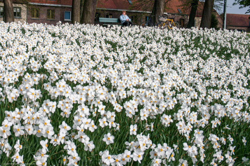 2011_04_08-09_16_37_7