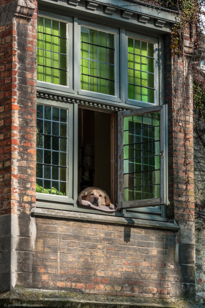 2011_04_08-10_17_59_18