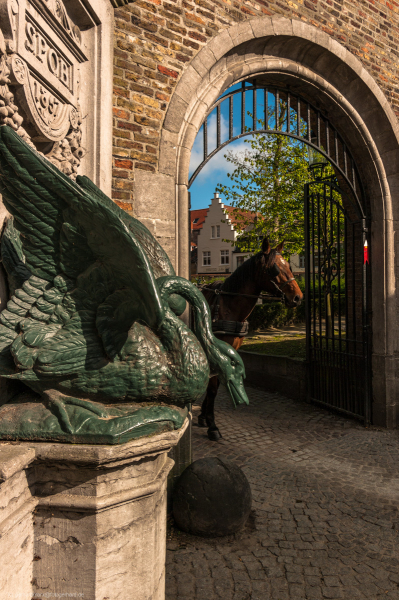 2011_04_09-09_44_21_94