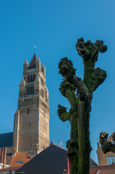 2011_04_09-16_37_08_123