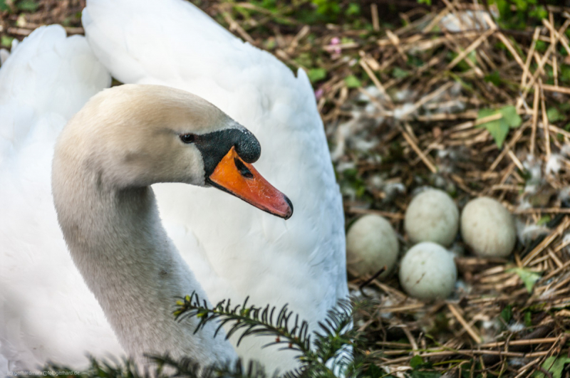 2011_04_09-17_37_06_127