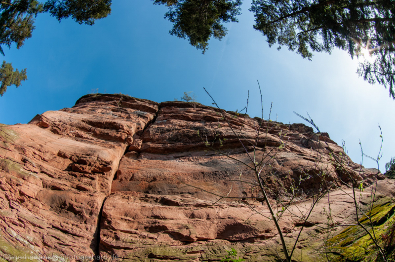Trifels, Pfälzerwald