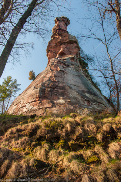 Trifels, Pfälzerwald