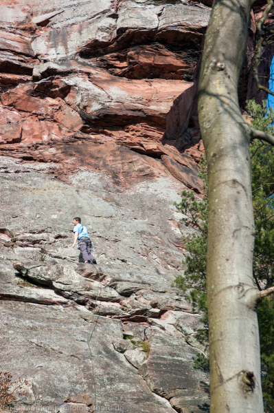 Trifels, Pfälzerwald