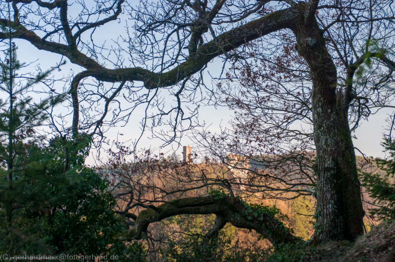 Trifels, Pfälzerwald