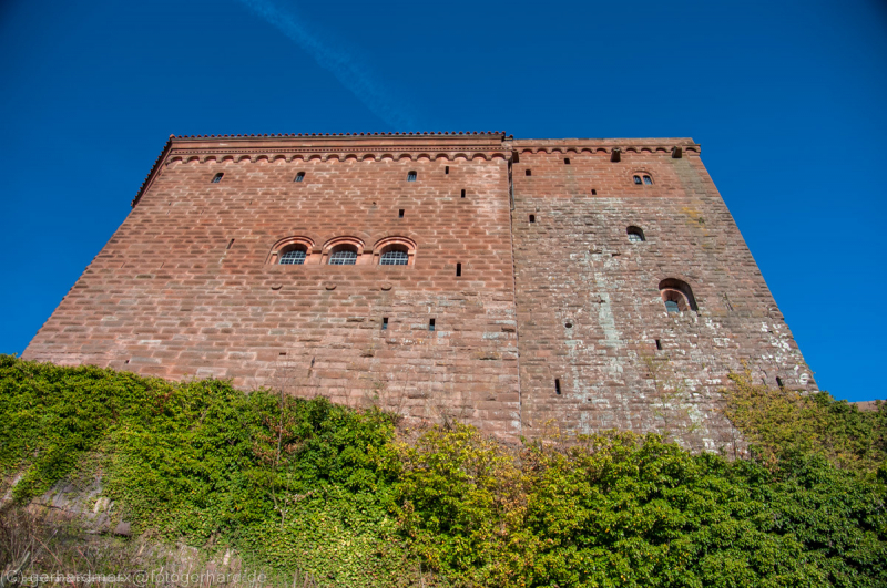 Trifels, Pfälzerwald