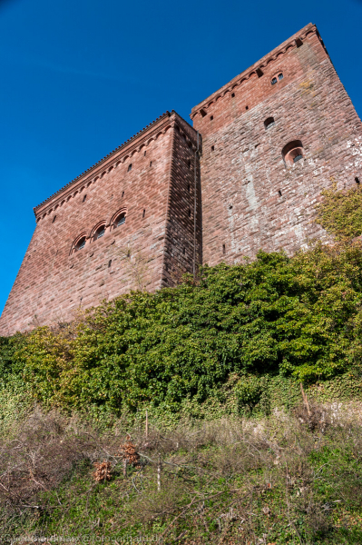 Trifels, Pfälzerwald