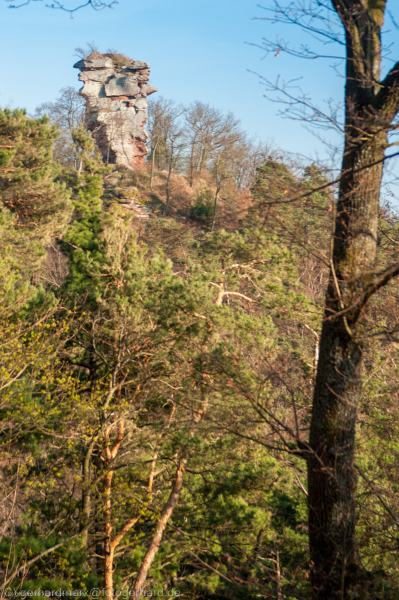Trifels, Pfälzerwald