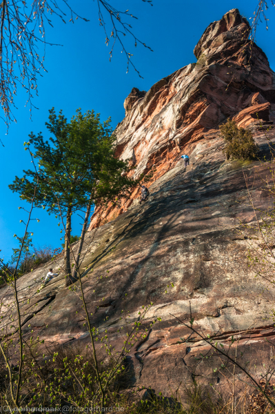 Trifels, Pfälzerwald